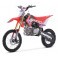 Pit Bike BASTOS BP 150 grande roue 14/17- édition 2020