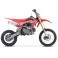 Pit Bike BASTOS BP 150 grande roue 14/17- édition 2020