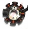 Stator d'allumage ZONGSHEN 150-250