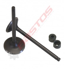 Kit soupapes 27-31,5 de moteur 250 ZONGSHEN