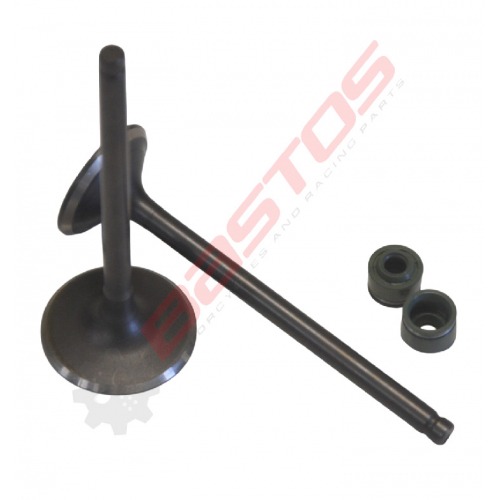 Kit soupapes 27-31,5 de moteur 250 ZONGSHEN