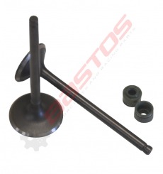 Kit soupapes 27-31,5 de moteur 250 ZONGSHEN